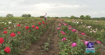 «Депутатський щоденник», випуск за 27 червня