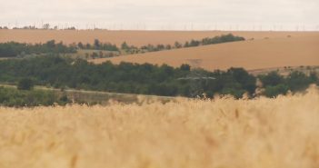 Випуск новин «ТІС. Лиманський район» (08.08.2019)