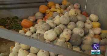 Випуск новин «ТІС. Лиманський район» (22.08.2019)