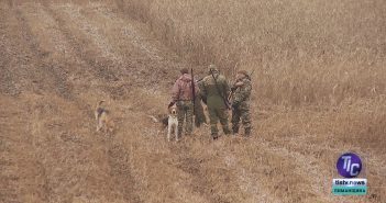 «Депутатський щоденник», випуск за 12 грудня