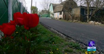 Первые итоги активного весеннего благоустройства в Доброславе