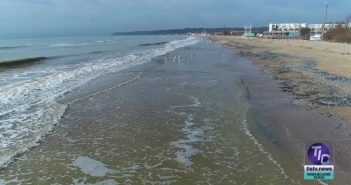 «Депутатський щоденник», випуск за 6 квітня