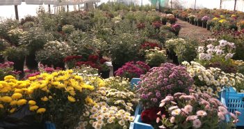 Щоденник «Визирська громада: Час жити» за 30 жовтня 2025 року